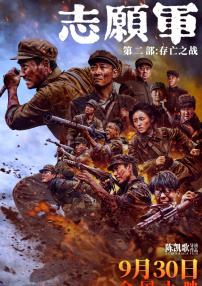 91免费专区