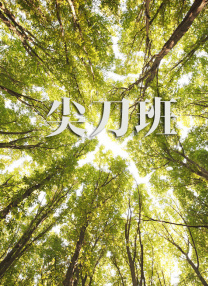 午夜资源站